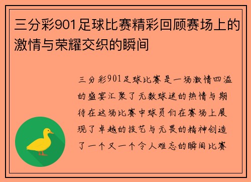 三分彩901足球比赛精彩回顾赛场上的激情与荣耀交织的瞬间